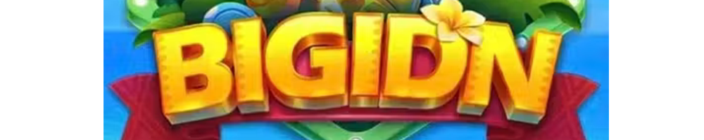 BIGIDN Logo - Resmi