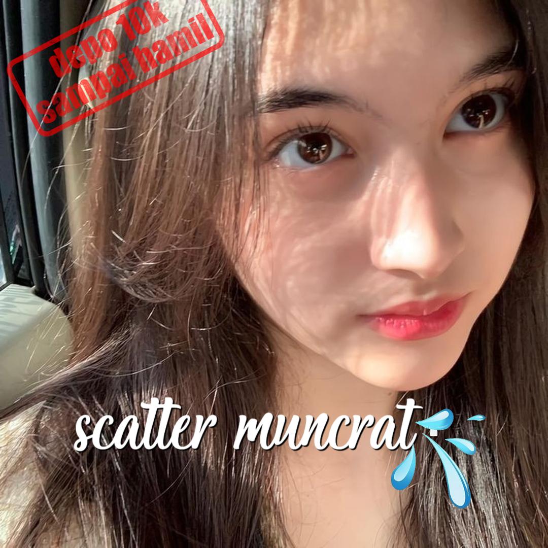 8055q Apk