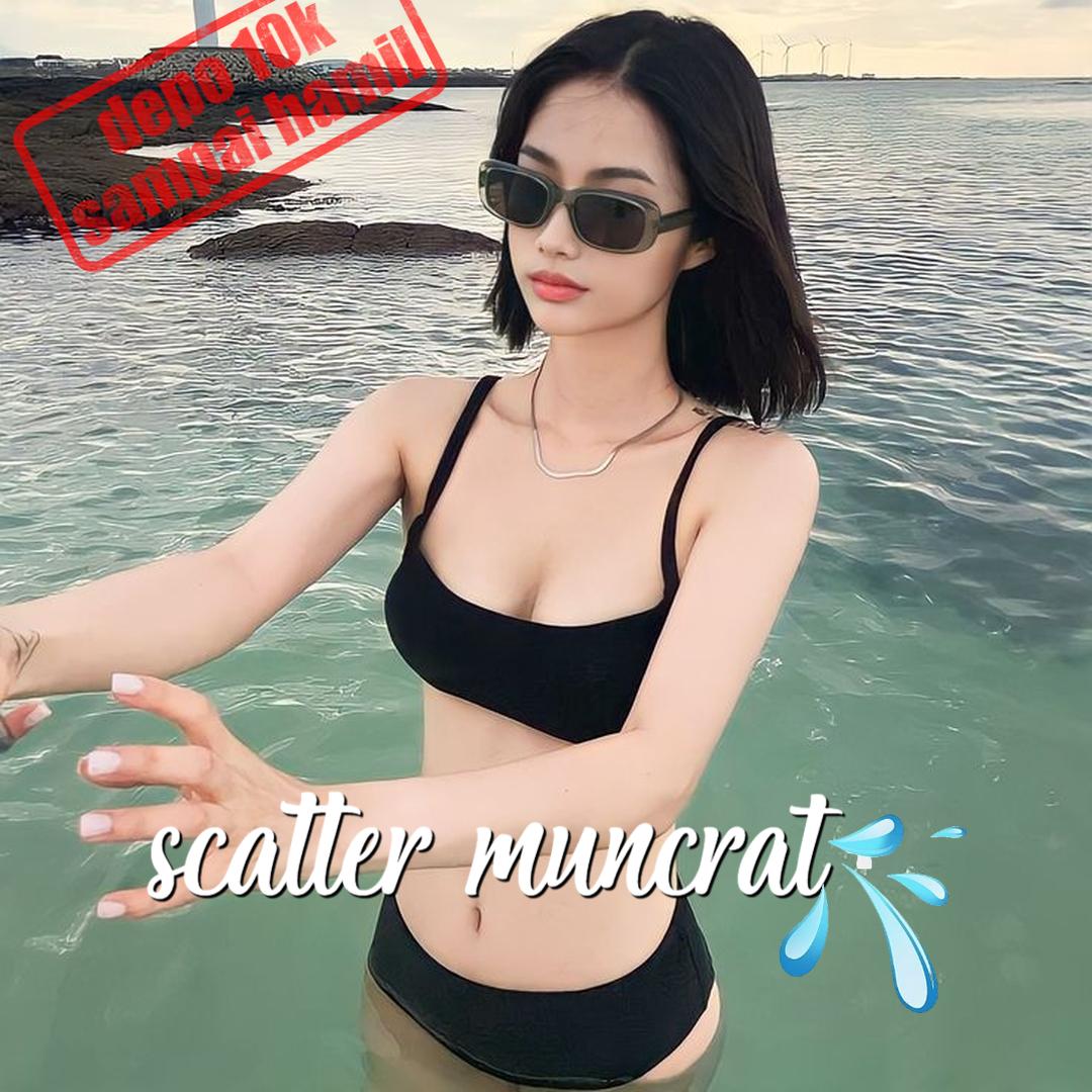 Sasafun Apk
