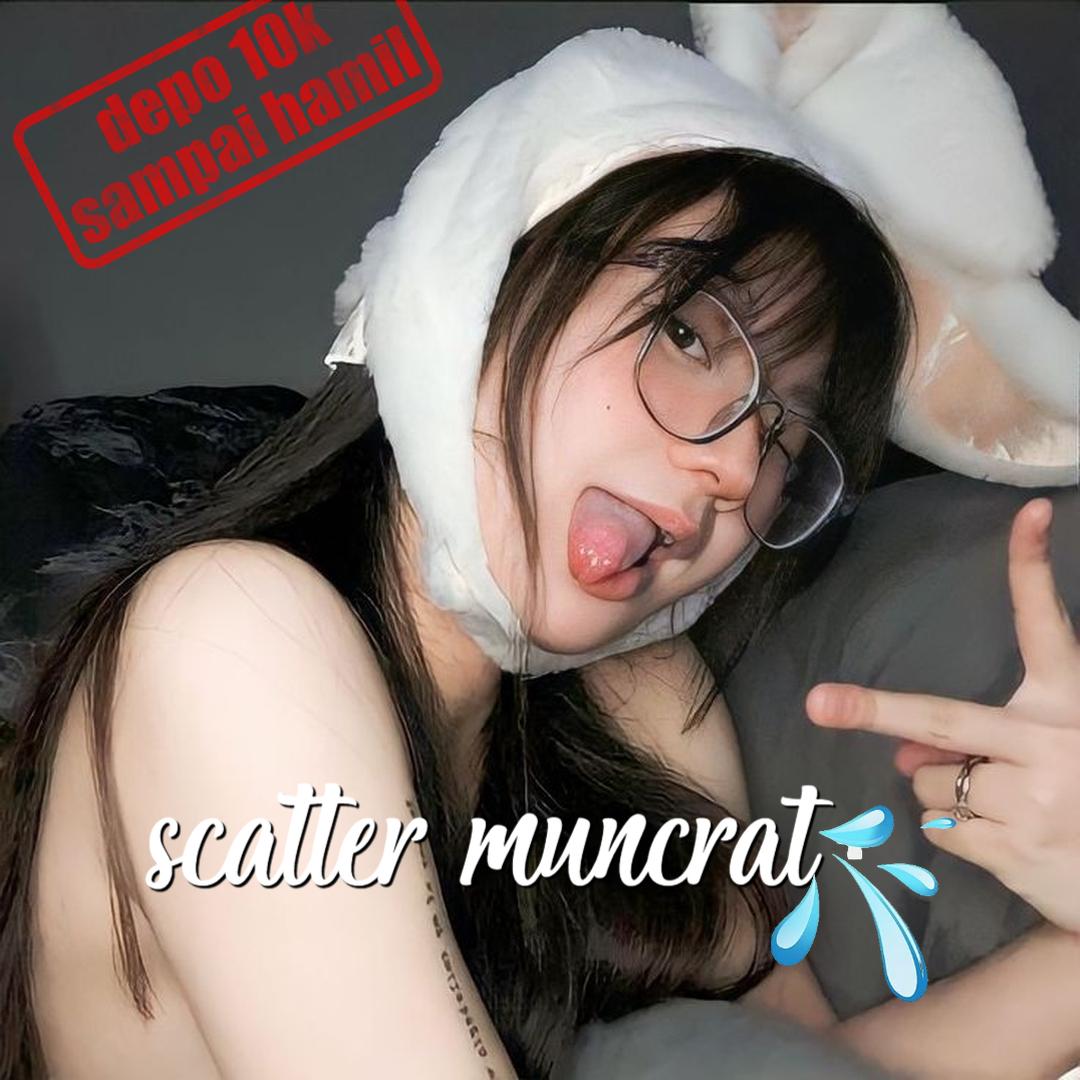 Se 328
