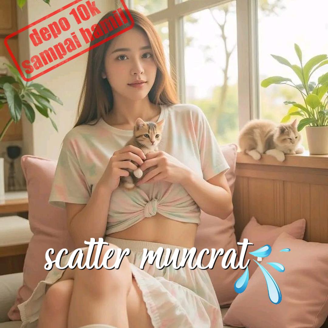 Serurp Apk