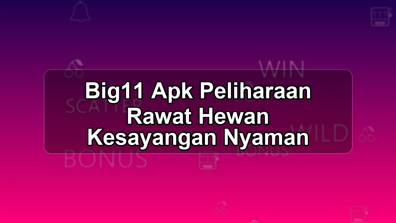 BIG11