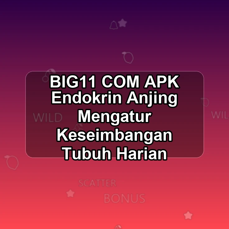 BIG11.COM APK ƾ Endokrin Anjing Mengatur Keseimbangan Tubuh Harian