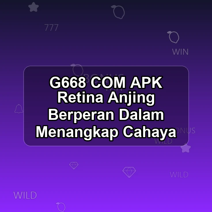 G668.COM APK #: Retina Anjing Berperan Dalam Menangkap Cahaya