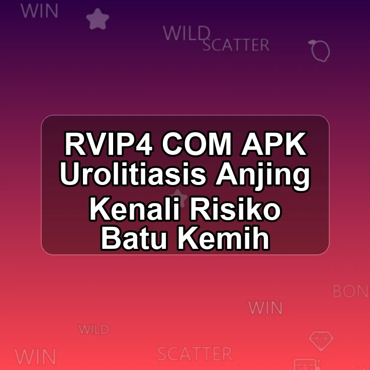 RVIP4.COM APK :> Urolitiasis Anjing Kenali Risiko Batu Kemih