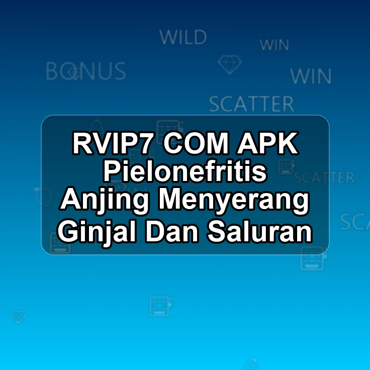 RVIP7.COM APK ;> Pielonefritis Anjing Menyerang Ginjal Dan Saluran