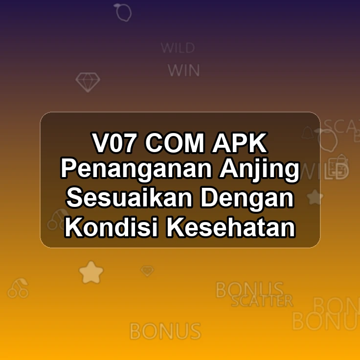 V07.COM APK /> Penanganan Anjing Sesuaikan Dengan Kondisi Kesehatan